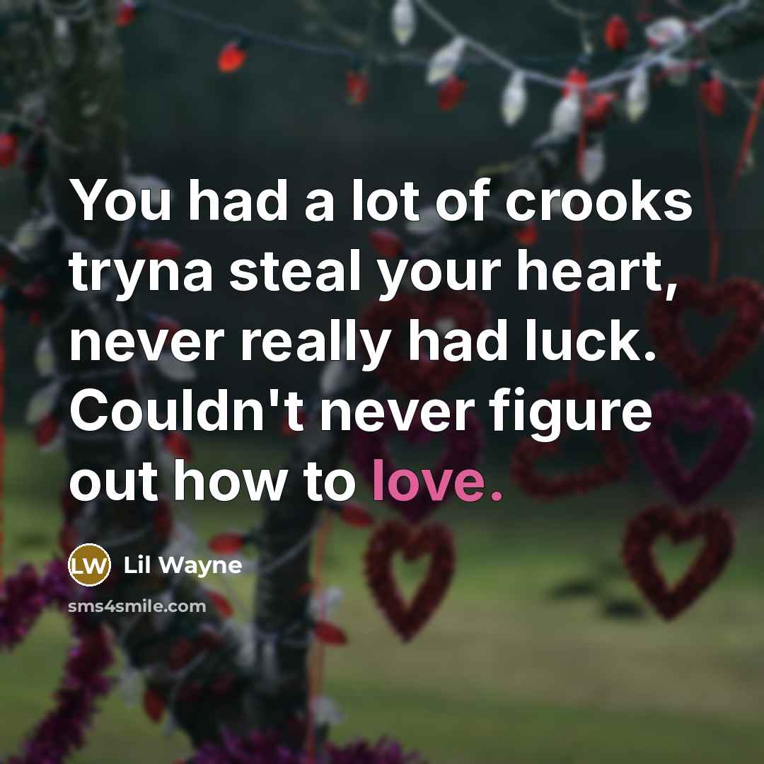 “You had a lot of crooks tryna steal your heart, never really had luck. Couldn't never figure out how to love.” quote by Lil Wayne