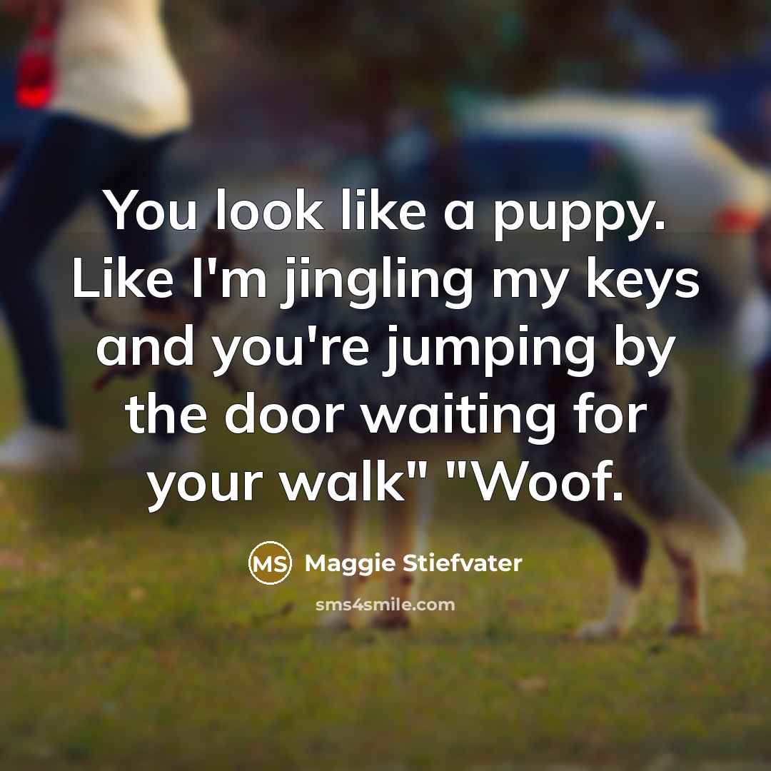 “You look like a puppy. Like I'm jingling my keys and you're jumping by the door waiting for your walk" "Woof.” quote by Maggie Stiefvater