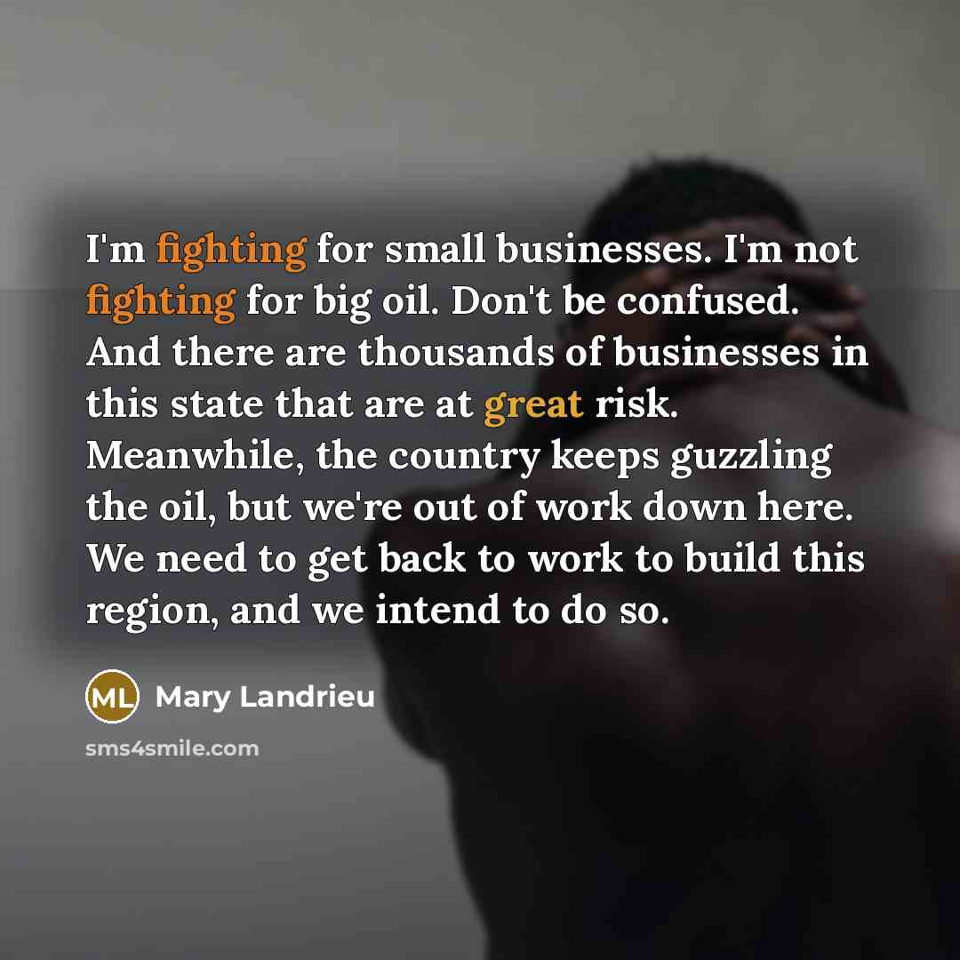 “I'm fighting for small businesses. I'm not fighting for big…” quote by Mary Landrieu