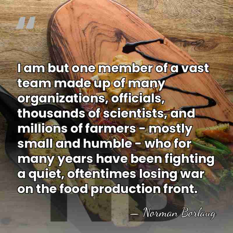 I am but one member of a vast team made up of&hellip; - Norman Borlaug