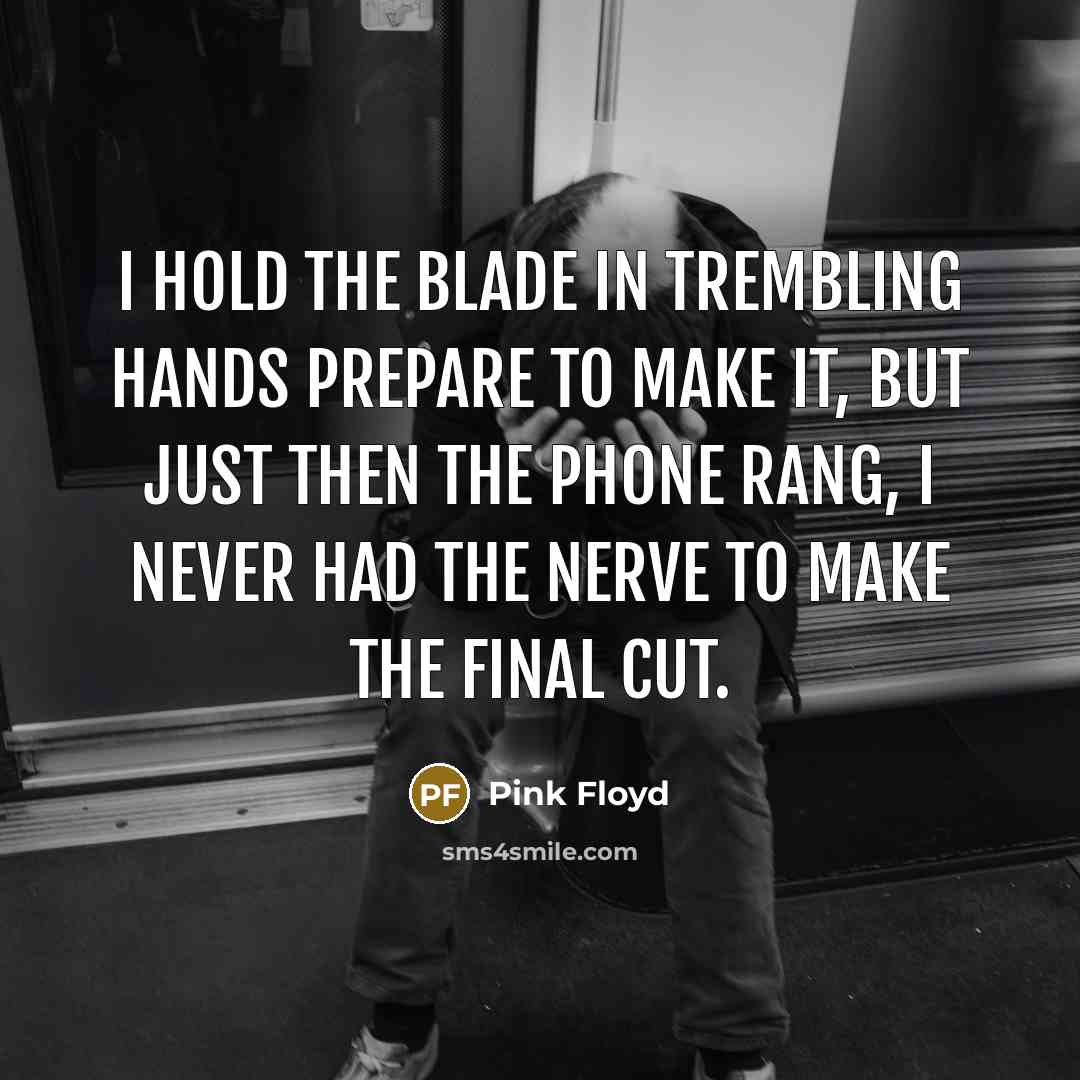 “I hold the blade in trembling hands Prepare to make…” quote by Pink Floyd