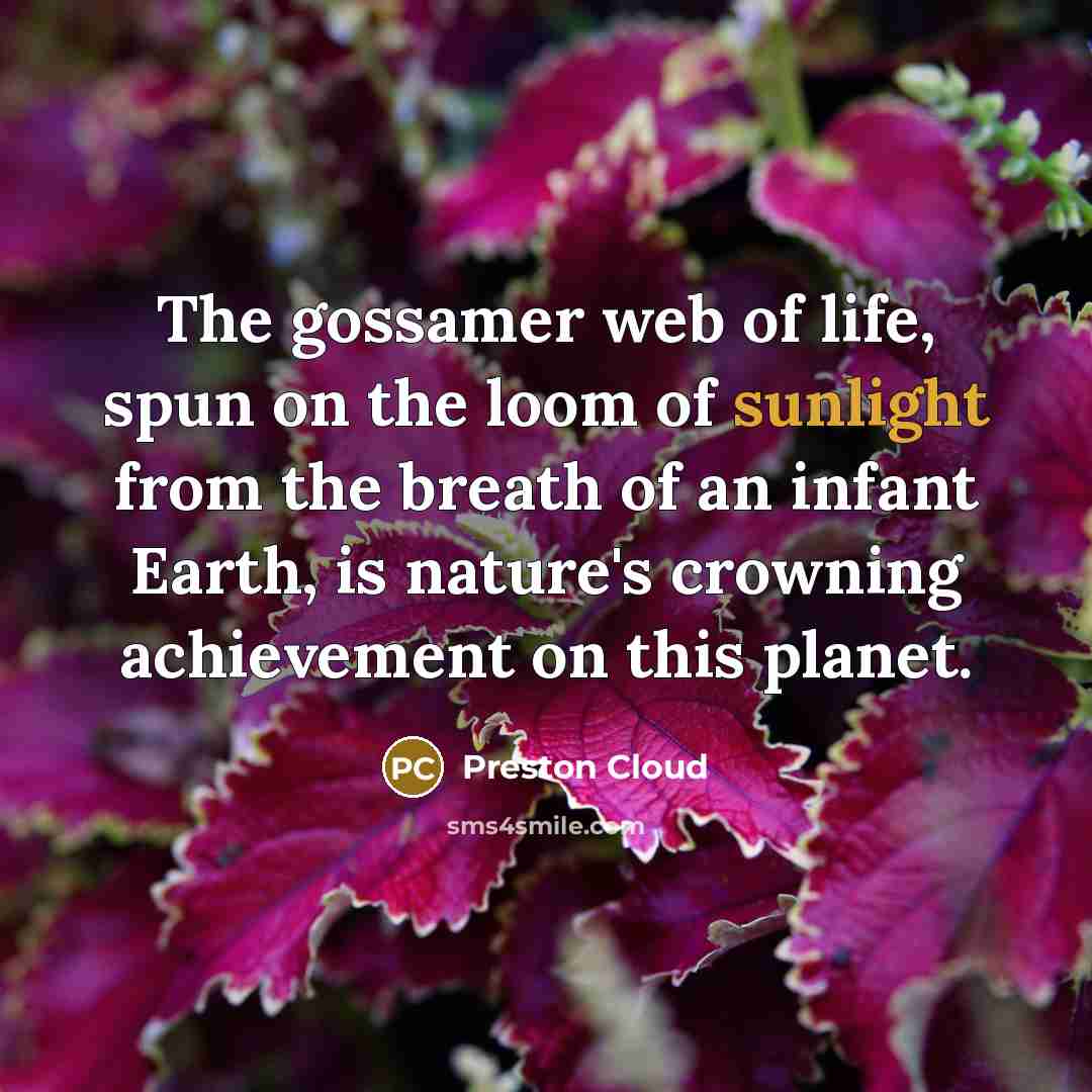 “The gossamer web of life, spun on the loom of…” quote by Preston Cloud