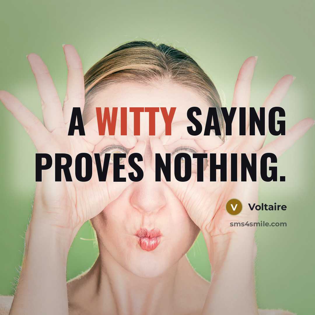 “A witty saying proves nothing.…” quote by Voltaire