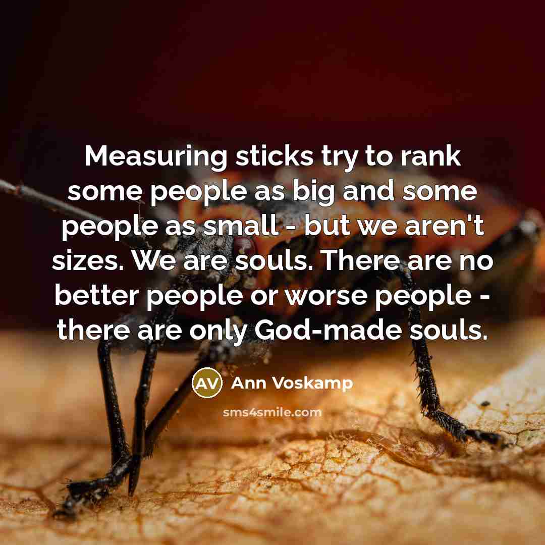 “Measuring sticks try to rank some people as big and…” quote by Ann Voskamp
