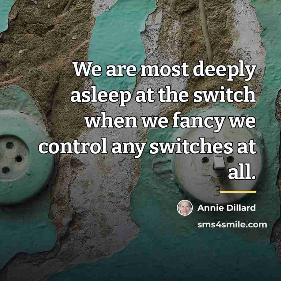 “We are most deeply asleep at the switch when we…” quote by Annie Dillard