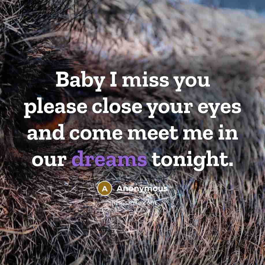 “Baby I miss you please close your eyes and come…” quote by Anonymous