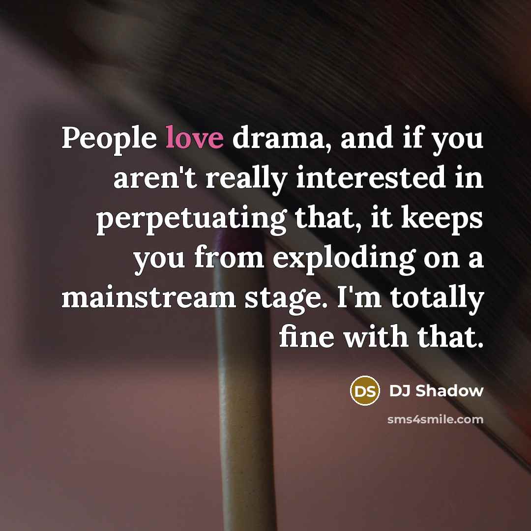 “People love drama, and if you aren't really interested in…” quote by DJ Shadow
