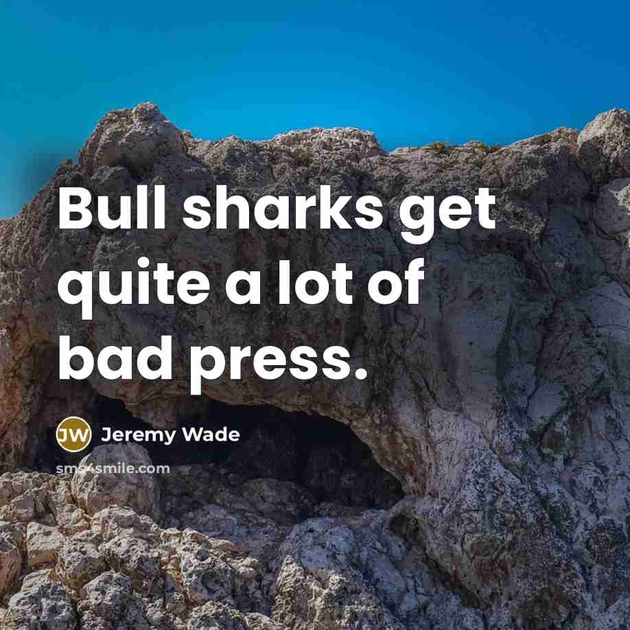 “Bull sharks get quite a lot of bad press.…” quote by Jeremy Wade