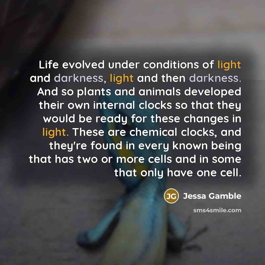 “Life evolved under conditions of light and darkness, light and…” quote by Jessa Gamble