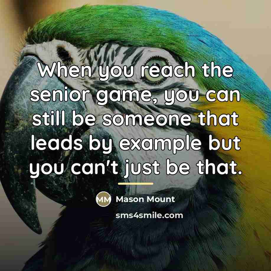 “When you reach the senior game, you can still be…” quote by Mason Mount