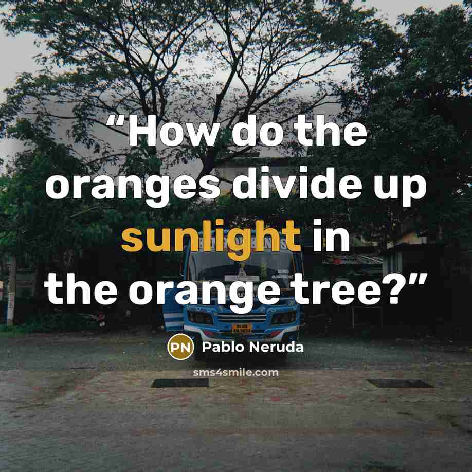 “How do the oranges divide up sunlight in the orange tree?” quote by Pablo Neruda