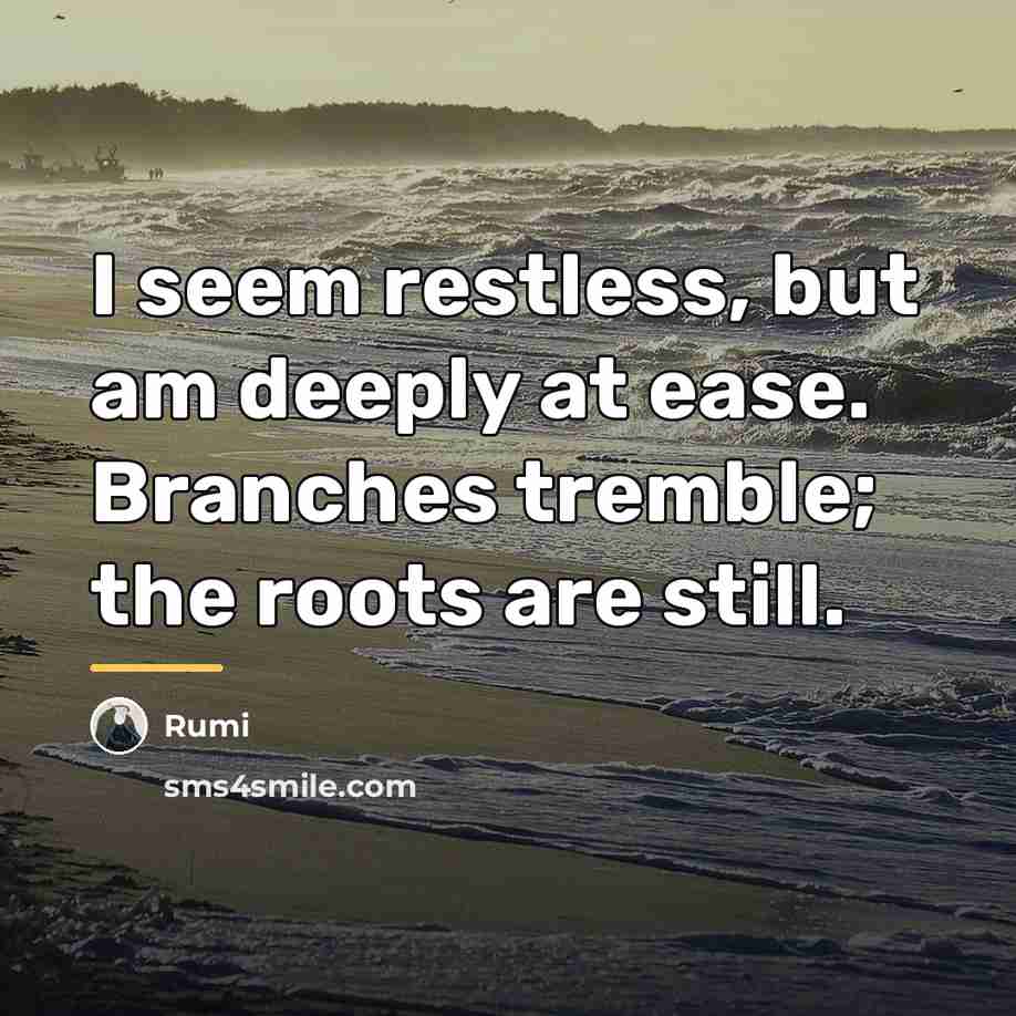 “I seem restless, but am deeply at ease. Branches tremble;…” quote by Rumi