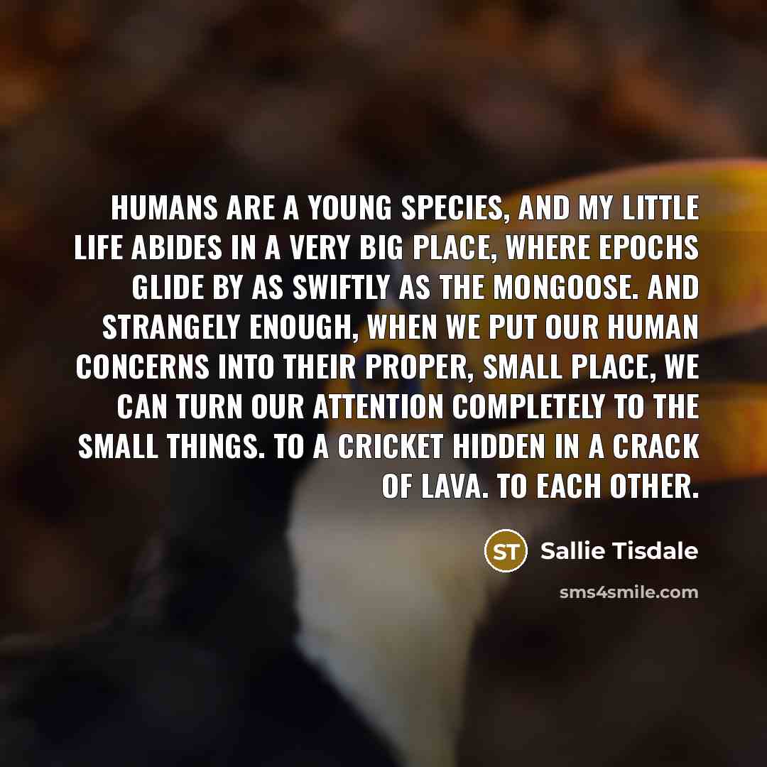 “Humans are a young species, and my little life abides…” quote by Sallie Tisdale