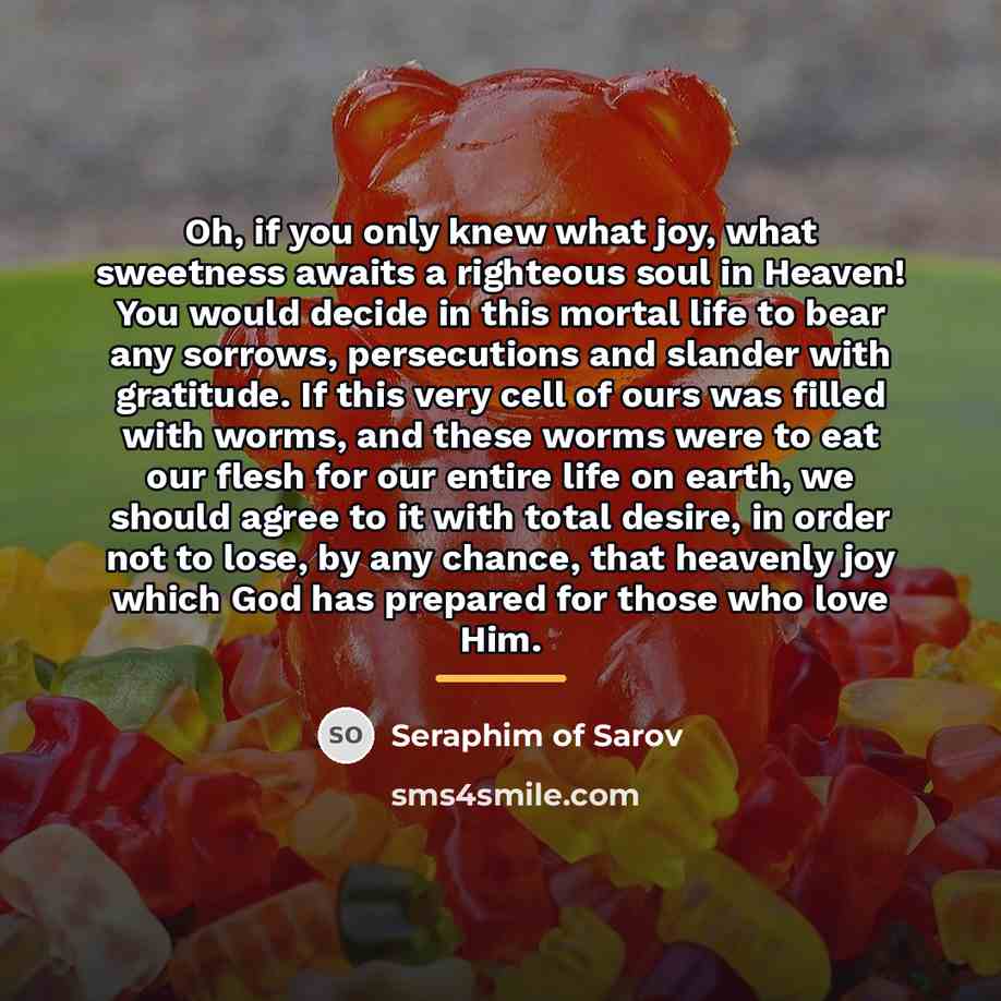 “Oh, if you only knew what joy, what sweetness awaits…” quote by Seraphim of Sarov