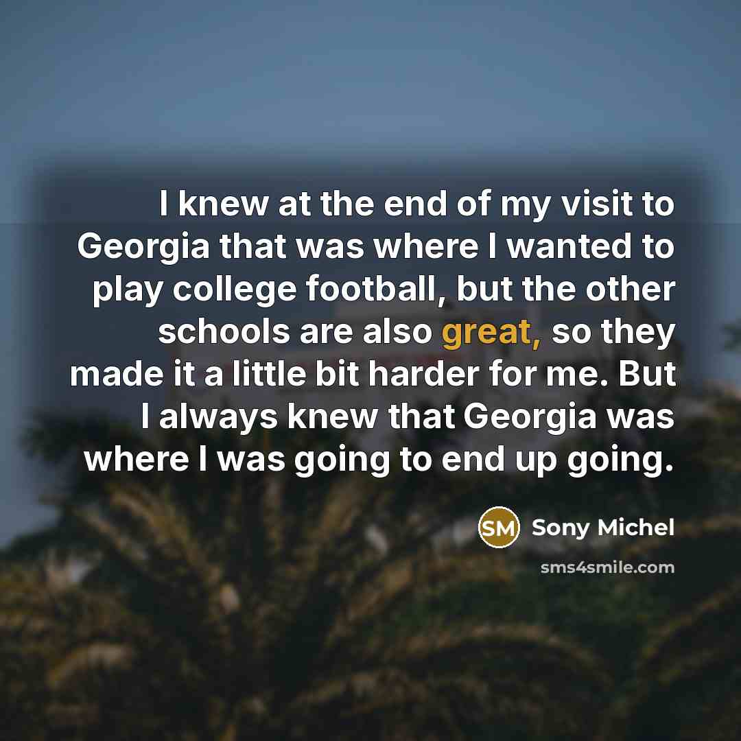 “I knew at the end of my visit to Georgia…” quote by Sony Michel