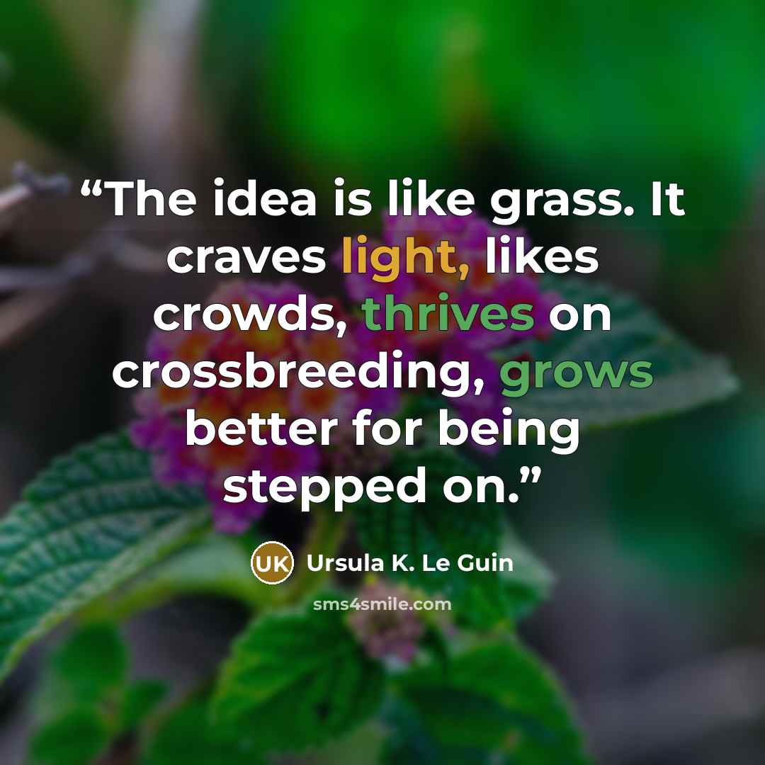 “The idea is like grass. It craves light, likes crowds, thrives on crossbreeding, grows better for being stepped on.” quote by Ursula K. Le Guin