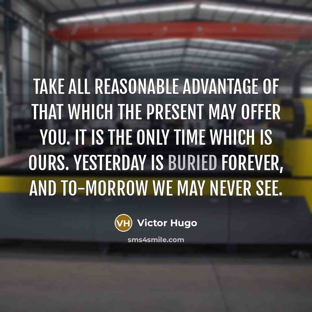 “Take all reasonable advantage of that which the present may…” quote by Victor Hugo