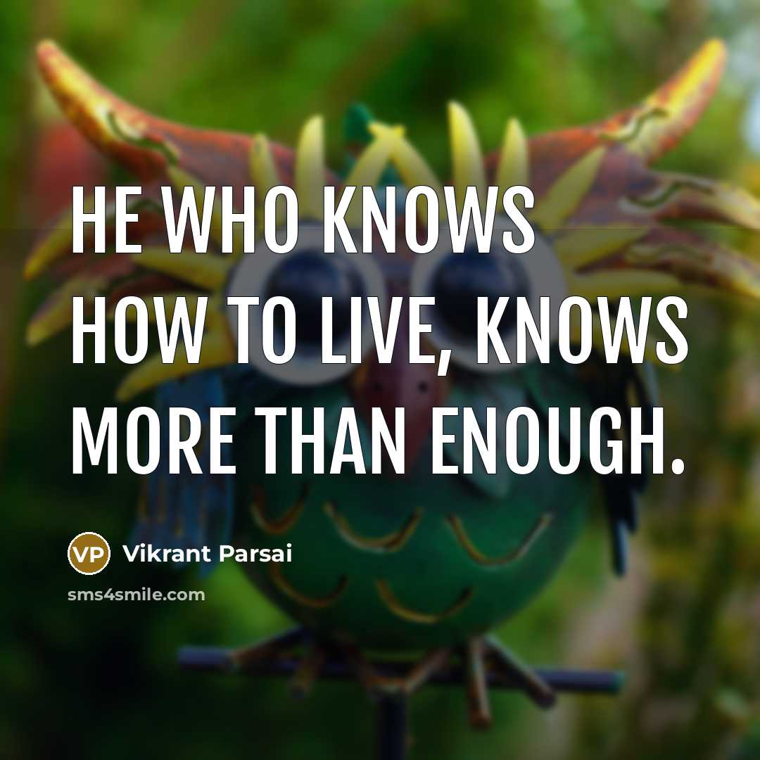 “He who knows how to live, knows more than enough.…” quote by Vikrant Parsai