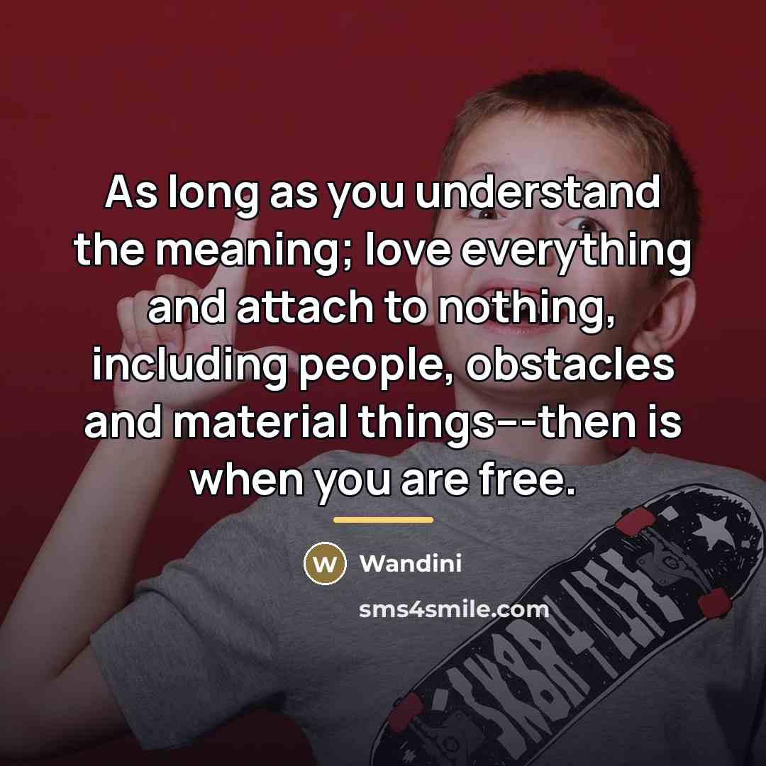 “As long as you understand the meaning; love everything and…” quote by Wandini