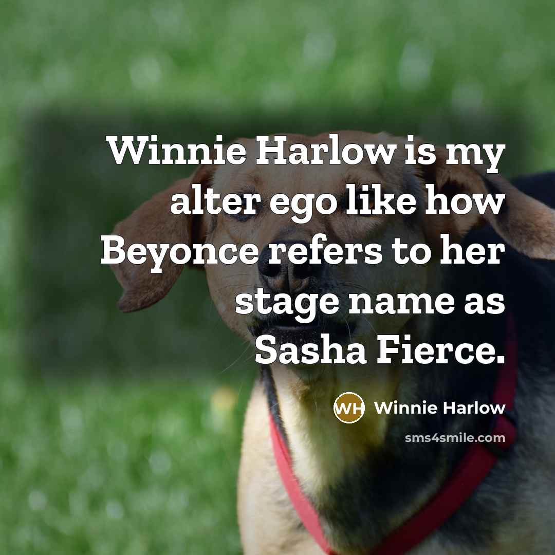 “Winnie Harlow is my alter ego like how Beyonce refers…” quote by Winnie Harlow