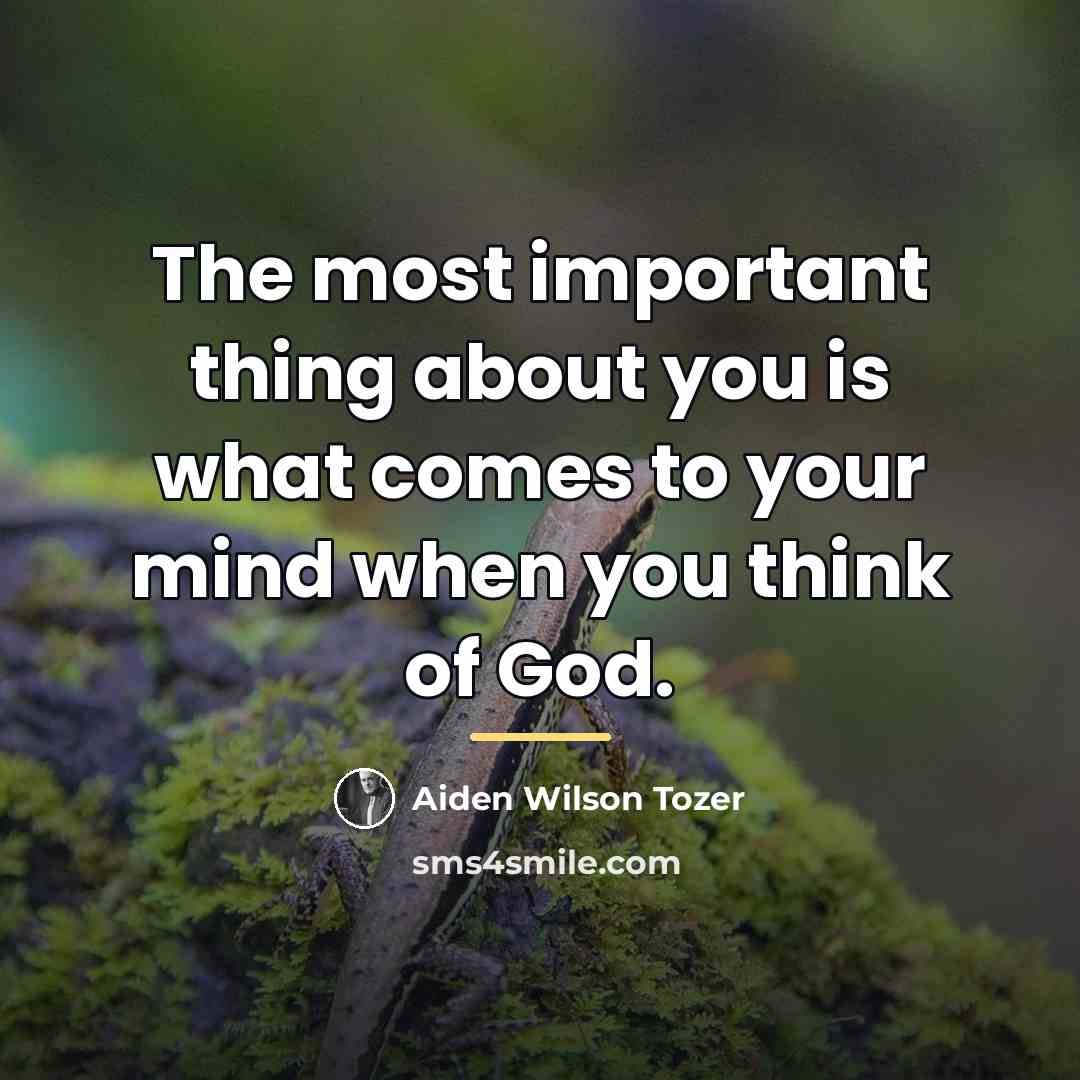 “The most important thing about you is what comes to…” quote by Aiden Wilson Tozer