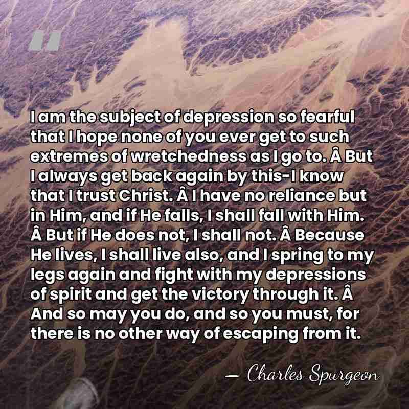 I am the subject of depression so fearful that I hope none&hellip; - Charles Spurgeon