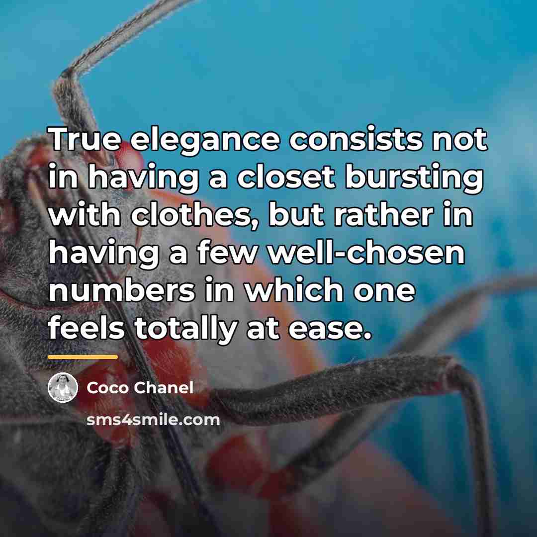 “True elegance consists not in having a closet bursting with…” quote by Coco Chanel