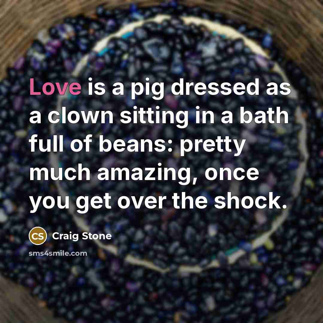 “Love is a pig dressed as a clown sitting in…” quote by Craig Stone