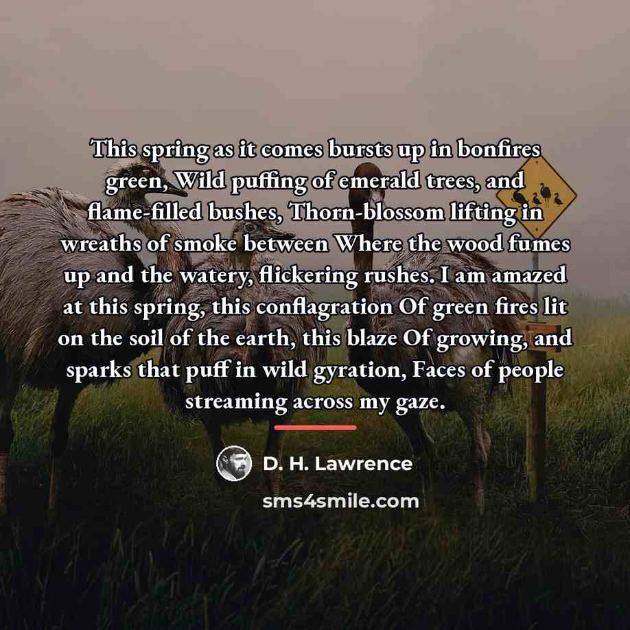 “This spring as it comes bursts up in bonfires green,…” quote by D. H. Lawrence