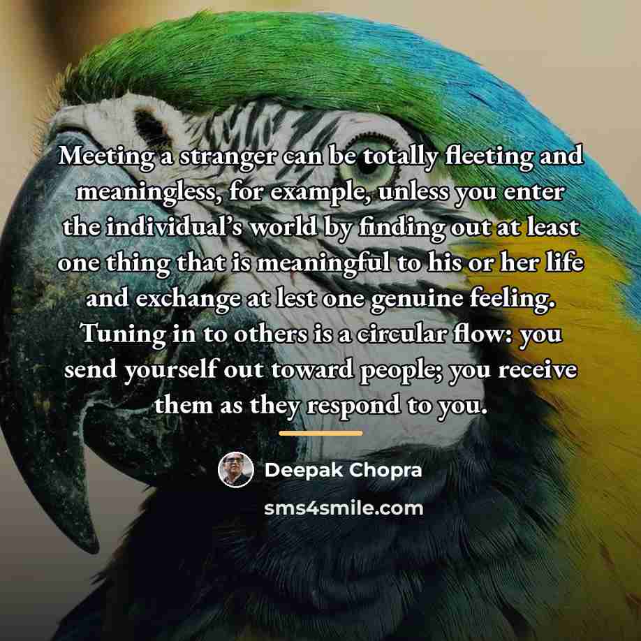 “Meeting a stranger can be totally fleeting and meaningless, for…” quote by Deepak Chopra