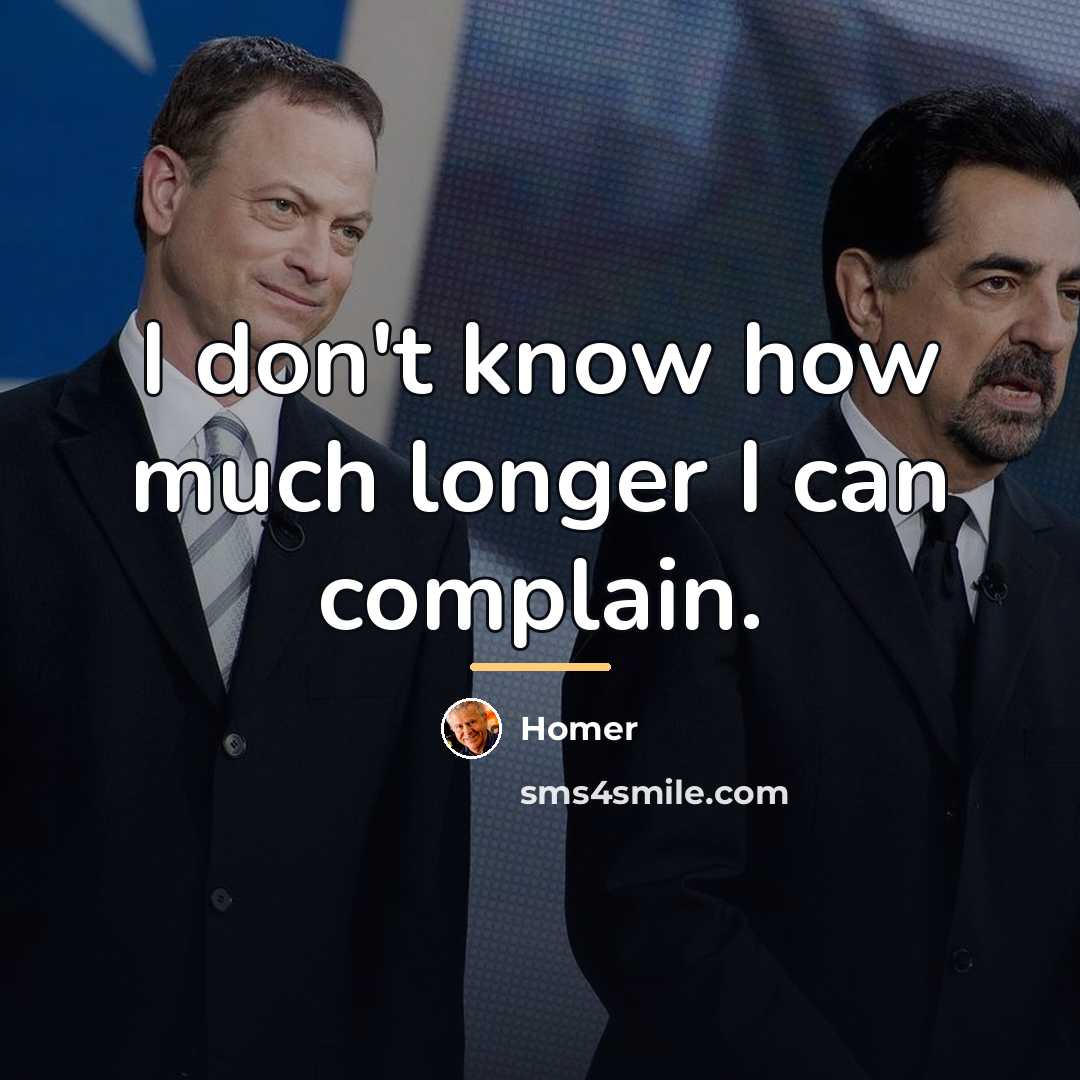 “I don't know how much longer I can complain.…” quote by Homer