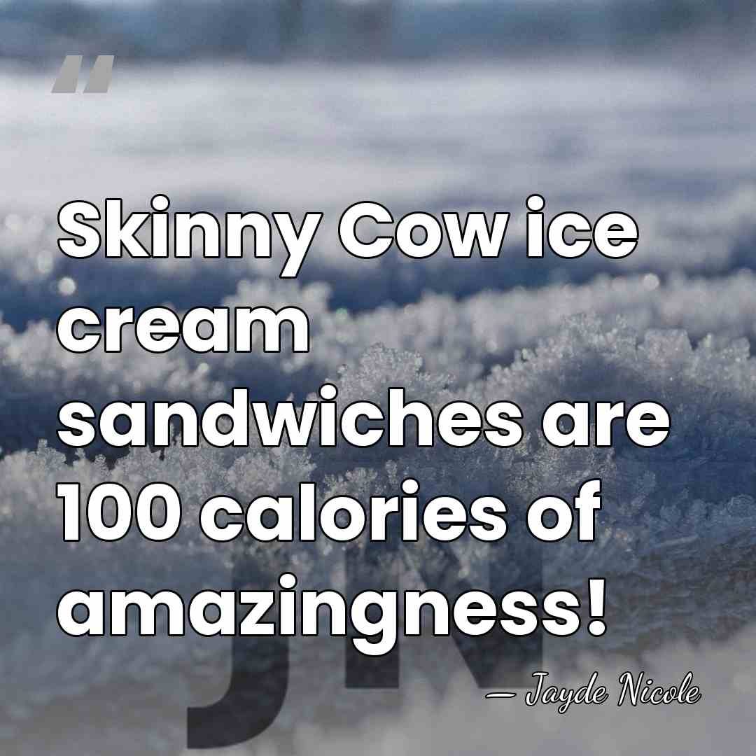 Skinny Cow ice cream sandwiches are 100 calories of amazingness! - Jayde Nicole