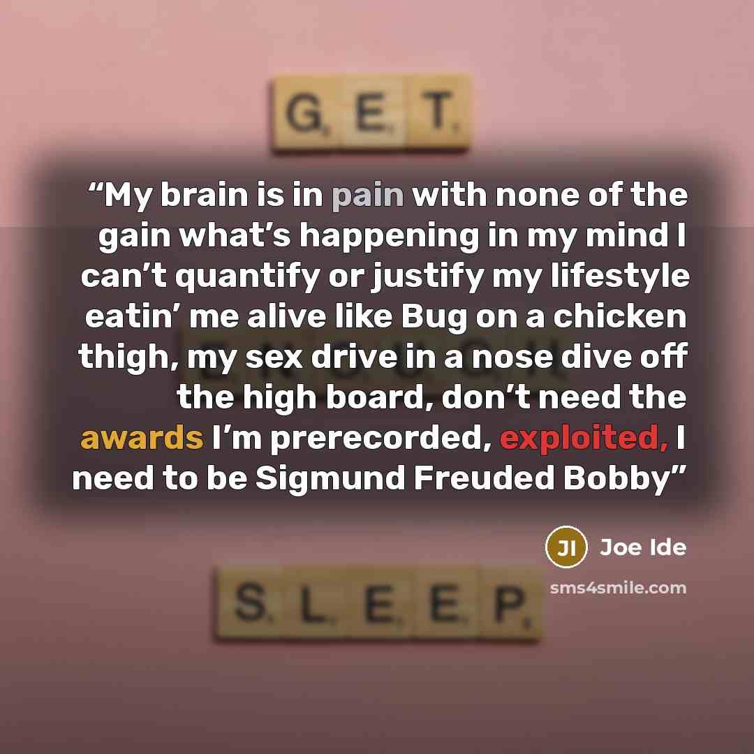 “My brain is in pain with none of the gain what’s happening in my mind I can’t quantify or justify my lifestyle eatin’ me alive like Bug on a chicken thigh, my sex drive in a nose dive off the high board, don’t need the awards I’m prerecorded, exploited, I need to be Sigmund Freuded Bobby” quote by Joe Ide