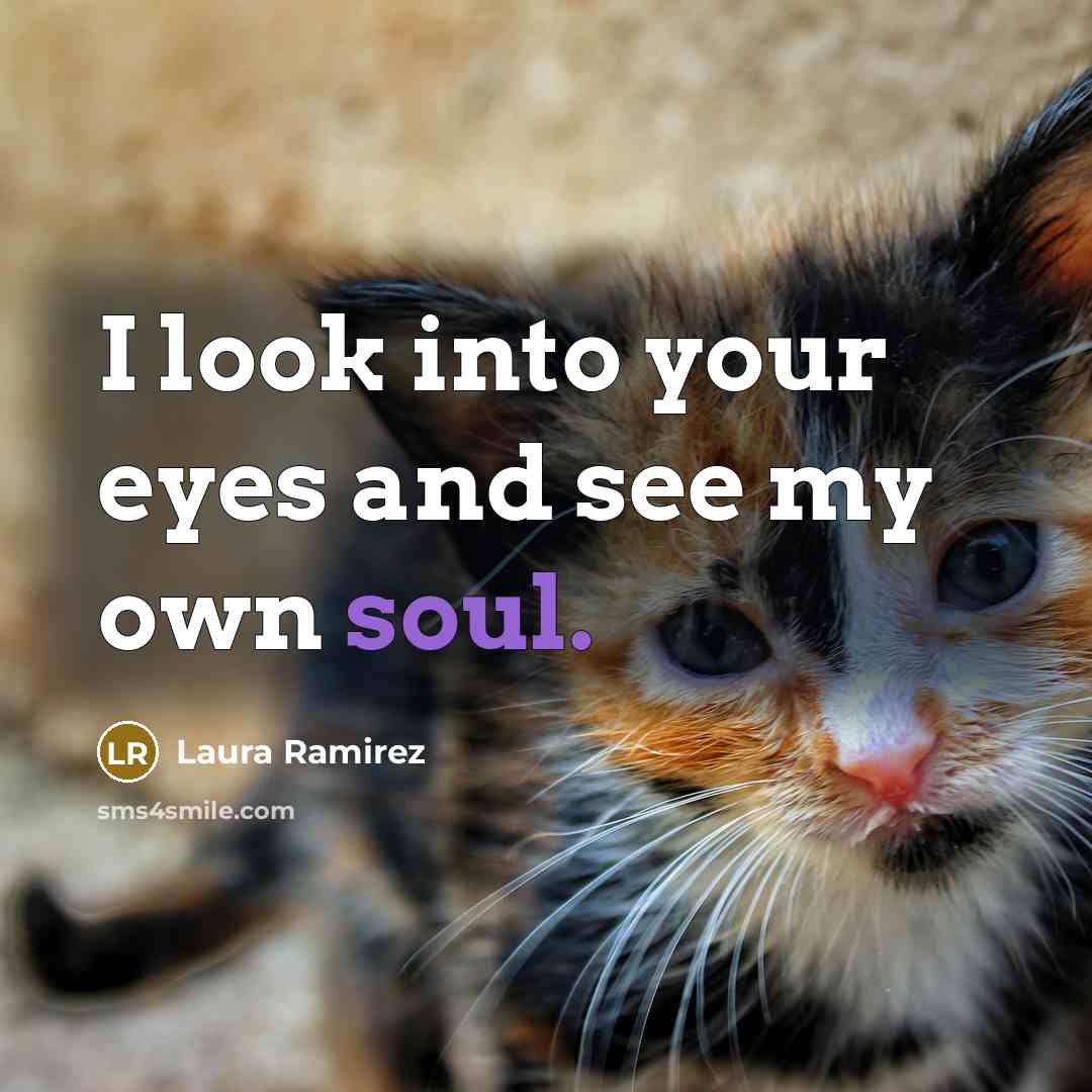 “I look into your eyes and see my own soul.…” quote by Laura Ramirez