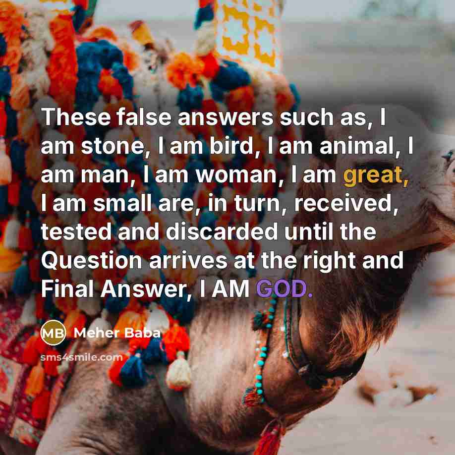 “These false answers such as, I am stone, I am…” quote by Meher Baba