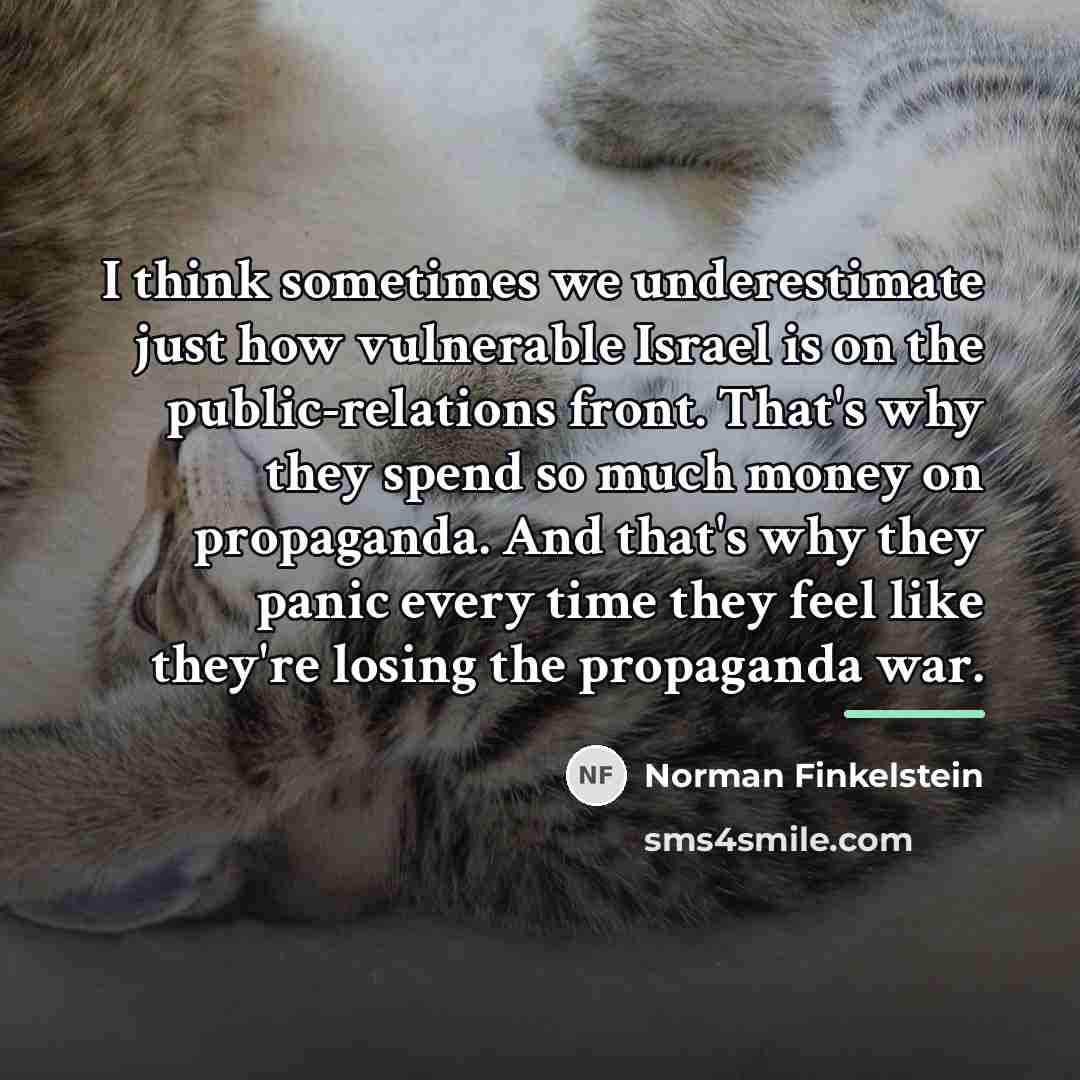 “I think sometimes we underestimate just how vulnerable Israel is…” quote by Norman Finkelstein
