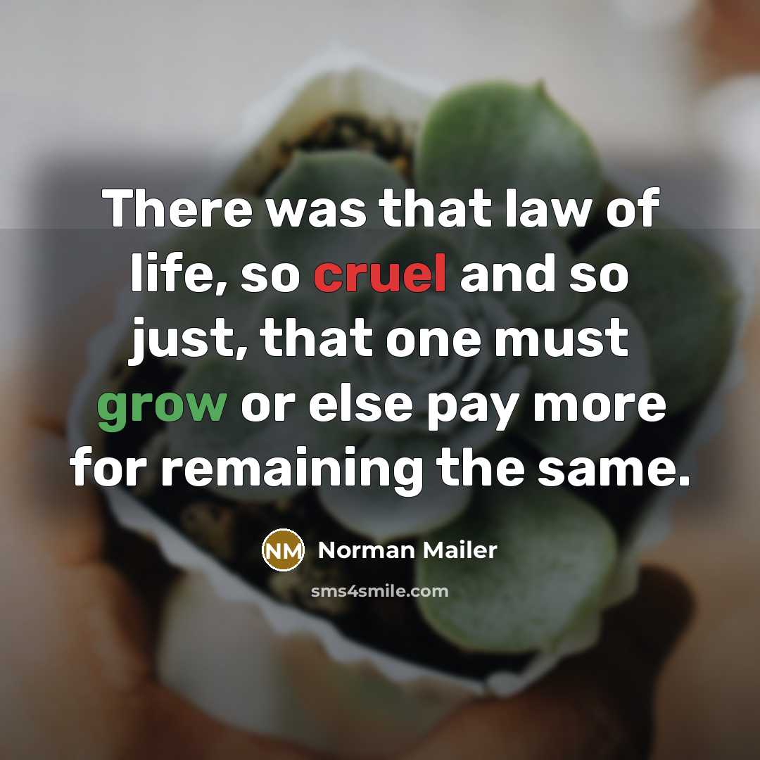 “There was that law of life, so cruel and so just, that one must grow or else pay more for remaining the same.” quote by Norman Mailer