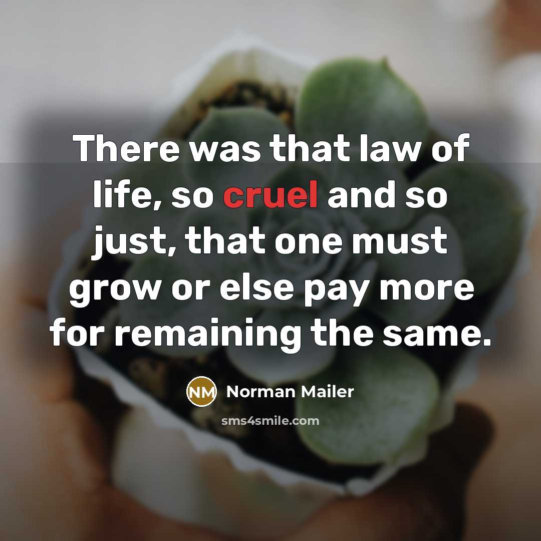 “There was that law of life, so cruel and so…” quote by Norman Mailer