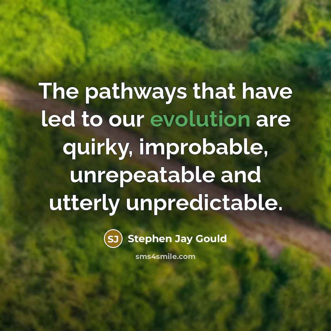 “The pathways that have led to our evolution are quirky,…” quote by Stephen Jay Gould