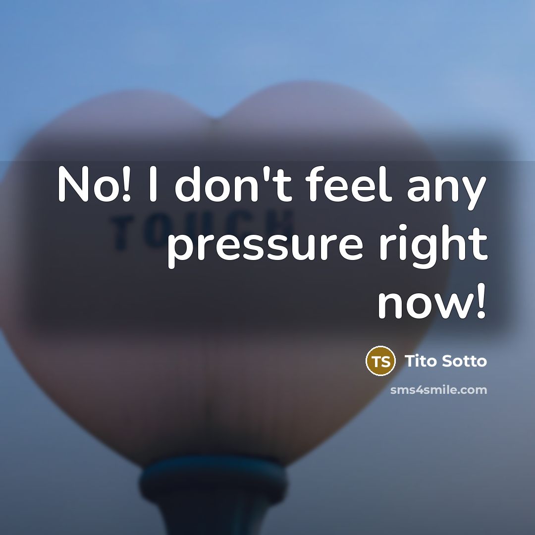 “No! I don't feel any pressure right now!” quote by Tito Sotto