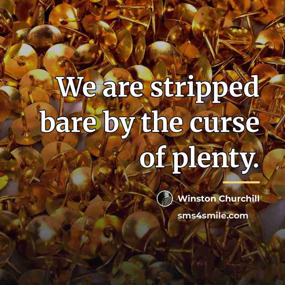 “We are stripped bare by the curse of plenty.…” quote by Winston Churchill