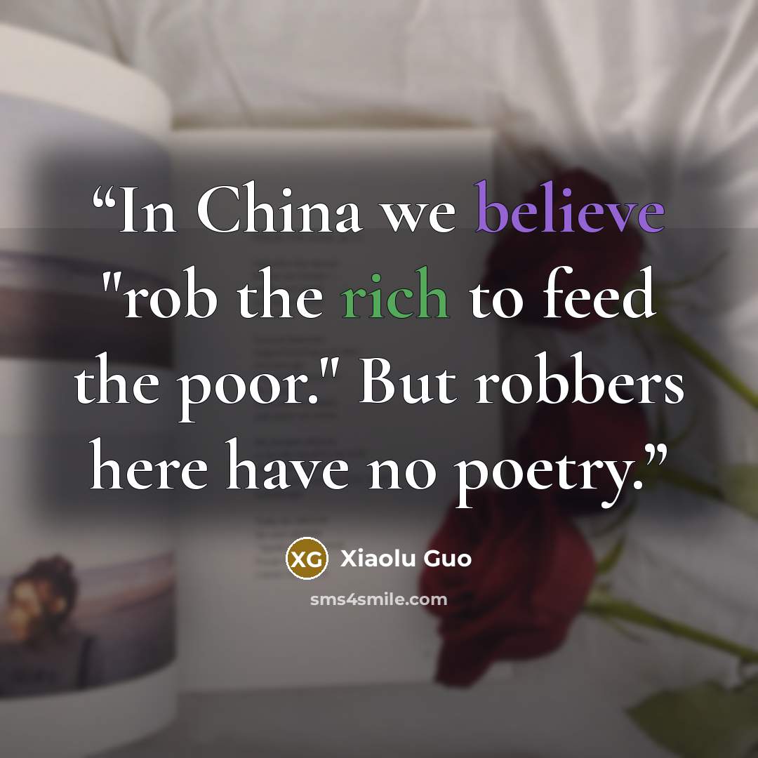 “In China we believe "rob the rich to feed the poor." But robbers here have no poetry.” quote by Xiaolu Guo