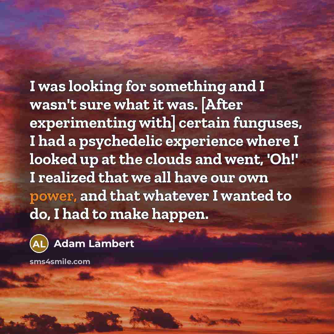 “I was looking for something and I wasn't sure what…” quote by Adam Lambert
