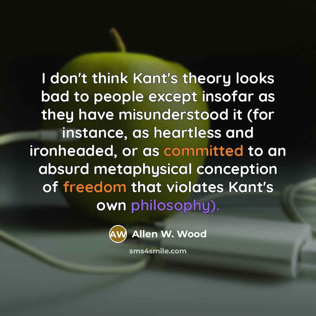 “I don't think Kant's theory looks bad to people except…” quote by Allen W. Wood