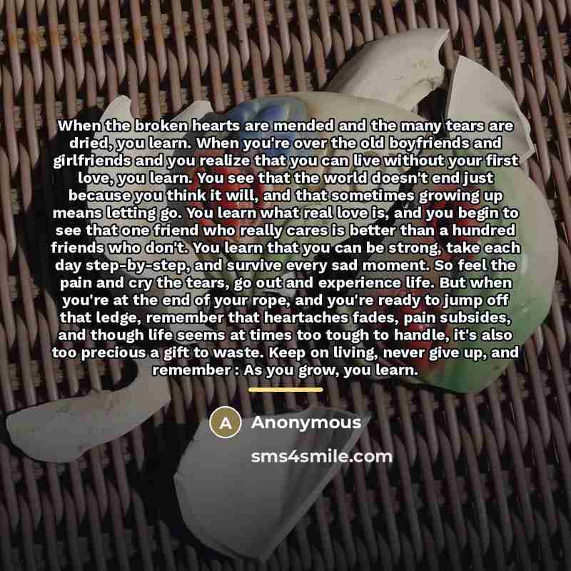 “When the broken hearts are mended and the many tears…” quote by Anonymous