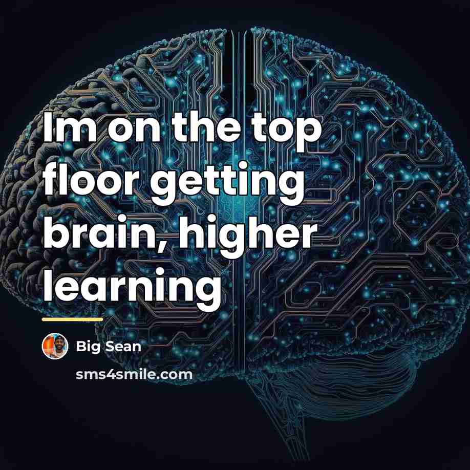 “Im on the top floor getting brain, higher learning…” quote by Big Sean