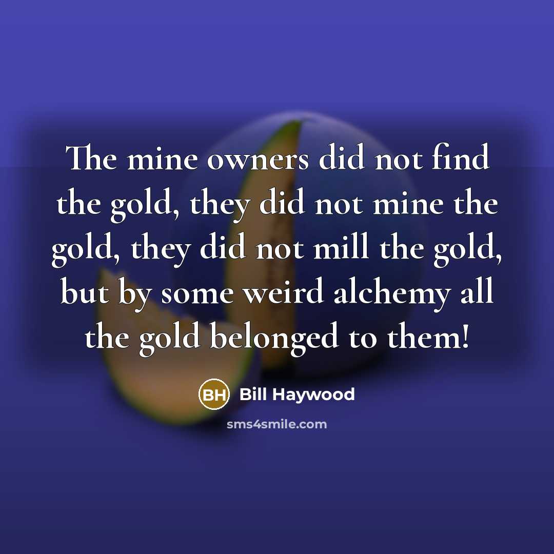 “The mine owners did not find the gold, they did…” quote by Bill Haywood