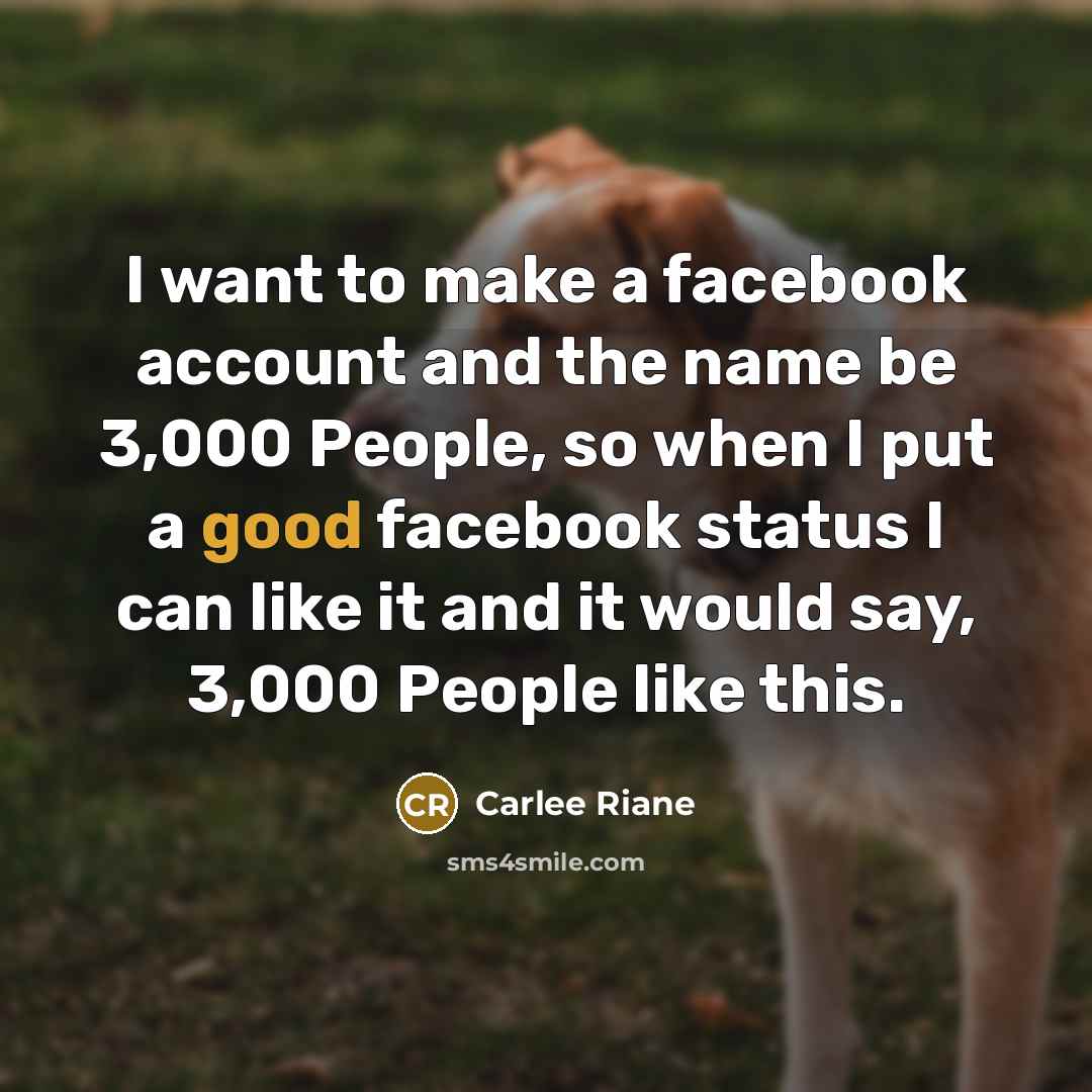 “I want to make a facebook account and the name be 3,000 People, so when I put a good facebook status I can like it and it would say, 3,000 People like this.” quote by Carlee Riane