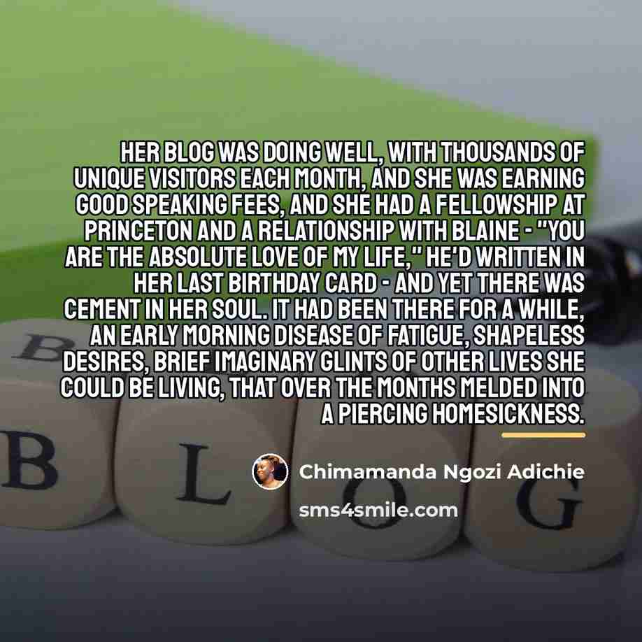 “Her blog was doing well, with thousands of unique visitors…” quote by Chimamanda Ngozi Adichie
