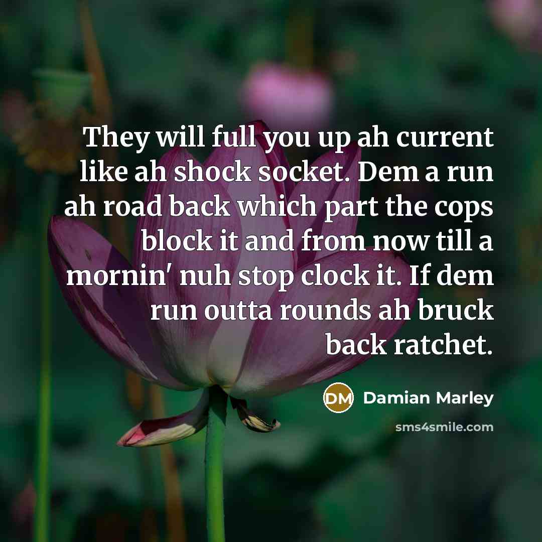 “They will full you up ah current like ah shock…” quote by Damian Marley